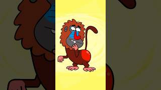 Hello May I See Your Behind – Hooray Kids Songs funnyvideo nurseryrhymes shorts baboonsong [upl. by Eednim124]