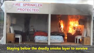 FlashoverFire Sprinkler Demonstration 3192013 [upl. by Ehav]