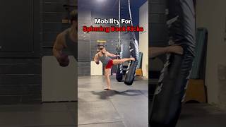 Mobility Exercises For Stronger Spinning Back Kicks mma kickboxing karate taekwondo [upl. by Sira]