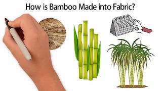 How is Bamboo Fabric Made  Bamboo Detective [upl. by Ihana]