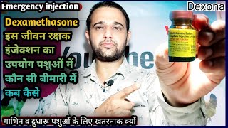 Emergency medicineDexamethasone Injection use in all AnimalsDexonaKonsi Disease mein kab kase [upl. by Hamfurd148]