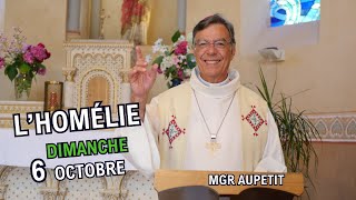 Homélie de Mgr Aupetit  dimanche 6 oct 24 [upl. by Ennaed]