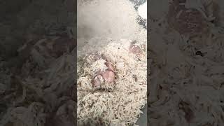 Afghani pulao 50 KG food foodstagram streetfood instafood streetfoodideas by short food [upl. by Iaht646]