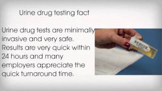 Easiest Way to Pass a Urine Drug Test in 24 Hours [upl. by Siaht965]