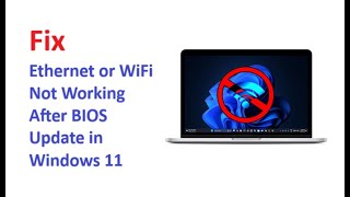 Ethernet or WiFi Not Working After BIOS Update in Windows 11 [upl. by Mercado]