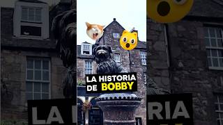 BOBBY el perro que esperó a su dueño14 años en la tumba shorts edimburgo perros lealtad escocia [upl. by Anerys]