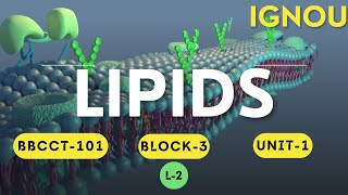 L2 LIPIDS  BBCCT101 Block3 Unit9  IGNOU BSC Biochemistry [upl. by Biddick829]