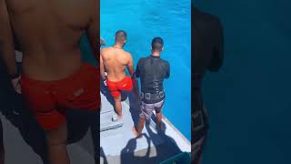 Tiger Sharks Close In Around Our Boat🚤🦈⚓🦈🤿🌊shorts shortsfeed shortvideo viralvideo trending [upl. by Craner582]