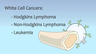 Video 18 Blood and Immune System Disorders [upl. by Dressel]