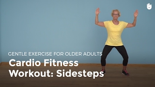 Aerobic Exercise Sidesteps  Exercise for Older Adults [upl. by Victoria]