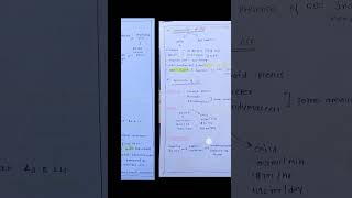 🤔cerebrospinal fluid🖋️🤗 components of csfcirculation of csf🤗youtubeshortsrrb upscNORCETneet [upl. by Nelsen310]