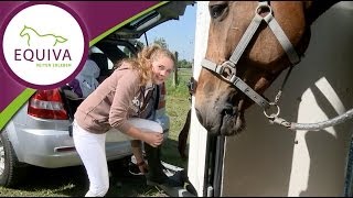 Reiten  Ein Turniertag mit Luisa [upl. by Lorena]