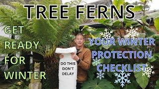 TREE FERNS WINTER CARE PREPARATIONS  Frost Protection for Dicksonia Antarctica [upl. by Jorey]