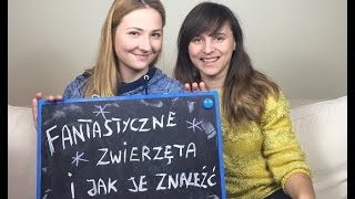 Fantastyczne zwierzęta i jak je znaleźć książka i film bez Harrego Pottera KrótkaPrzerwa10 [upl. by Eldnek854]