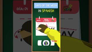 DAYS OF THE WEEK IN SPANISH FOR KIDS [upl. by Hcurab]