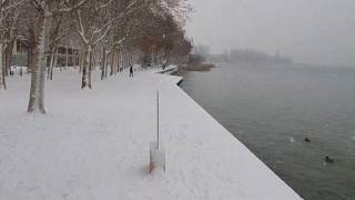 Heavy snow fall at Lake Balaton [upl. by Otrebire]