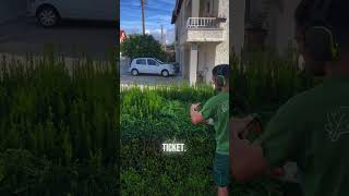 Satisfying Gardening Work🌳garden gardening satisfying cleaning grass lawn viral fyp 199 [upl. by Eedya]