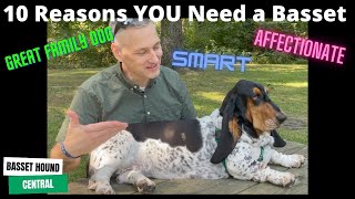 Basset Hound  10 Reasons YOU Need a Basset Hound [upl. by Willetta793]