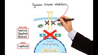 Pharmacology  CANCER DRUGS – CELL CYCLE INHIBITORS MADE EASY [upl. by Wera]