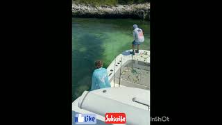 Live bait fishing for catching big fish [upl. by Karub]