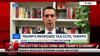 Tom Cotton Talks China And Trumps Economy [upl. by Ellehsad]