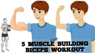 Best Bigger Biceps Workout biceps best big arm workout [upl. by Alvinia923]