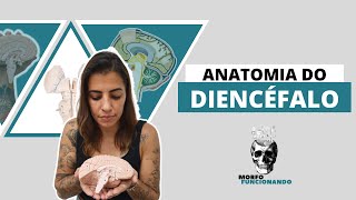 ANATOMIA MACROSCÓPICA DO CÉREBRO I  DIENCÉFALO 7 [upl. by Rotkiv]