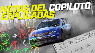 NOTAS del COPILOTO explicadas  DIRT RALLY 20 [upl. by Enalda]