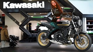 2025 NEW KAWASAKI Z650RS UNVEILED A LOT HAS CHANGED VISUALLY  FROM GOOD TO VERY GOOD [upl. by Shirley]