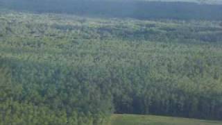 Taking off from Tallahassee to Miami on American Eagle jet [upl. by Mert]