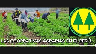 Las Cooperativas Agrarias como instrumento para el desarrollo de la pequeña agricultura en el Perú [upl. by Slaughter452]