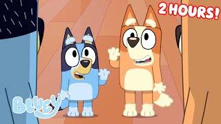 Bluey Seasons 1 2 and 3 FULL EPISODES 💙  Unicorse Faceytalk Pass the Parcel and More  Bluey [upl. by Roosevelt]