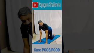 PCOS Yoga at home pcosinfertility yogagurushailendra [upl. by Nnodnarb]