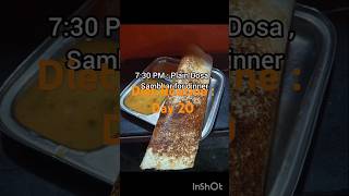 Diet Routine Day 20  Diet Plan  Weight loss  Be Healthy  Pulse Of Sunshine [upl. by Dore746]