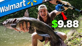 Super CHEAP Walmart Fishing Challenge Surprising Results [upl. by Eirellav]