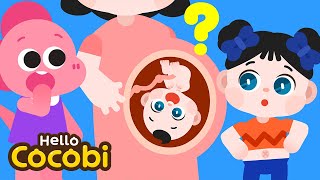 Belly Button Song  Why Do We Have Belly Buttons  Nursery Rhymes amp Kids Songs  Hello Cocobi [upl. by Eener697]