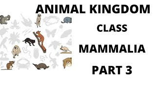 ANIMAL KINGDOM CLASS MAMALIAEXAMPLESPROTOTHERIAMETATHERIA [upl. by Adnoloy]