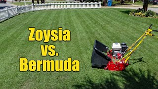 Zoysia Grass vs Bermuda Grass for Lawns [upl. by Jenn]