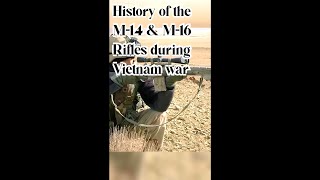 The M14 During the Vietnam War  Short [upl. by Ahsotan]