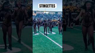 Alabama State Sensational Stingettes 🐝🐝🐝🐝🐝🐝🐝🐝🐝🐝🐝 [upl. by Borden]