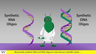 Custom oligonucleotide synthesis  30 years of experience  Dharmacon™ reagents [upl. by Chloe]