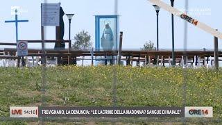 Trevignano la denuncia quotle lacrime della Madonna Sangue di maialequot  Ore 14 del 07042023 [upl. by Nunnery]