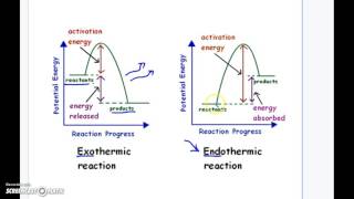 Endothermic Vs Exothermic Reaction Graphs [upl. by Sugden659]