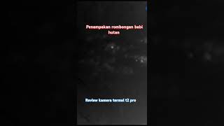 Review kamera termal t2 pro penampakan rombongan babi hutan [upl. by Mikkel]