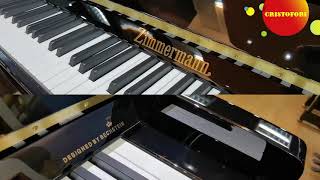 Introducing Zimmermann Piano designed by CBechstein [upl. by Leake365]