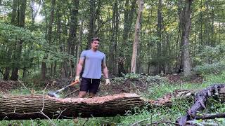 Day 01 Chopping wood for a workout [upl. by Aleydis794]