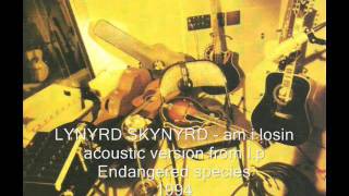 Lynyrd Skynyrd  Am I Losinacoustic version 1994 [upl. by Eiral315]