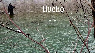 Hucho Fly Fishing  Can he catch it [upl. by Alba352]