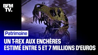 Estimé entre 5 et 7 millions deuros ce squelette de TRex est mis aux enchères à New York [upl. by Davey]