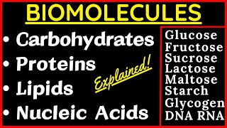 Biomolecules Carbohydrate Glucose Sucrose Protein Nucleic Acid DNA RNA Lipid Cholesterol Steroid Fat [upl. by Relyk]